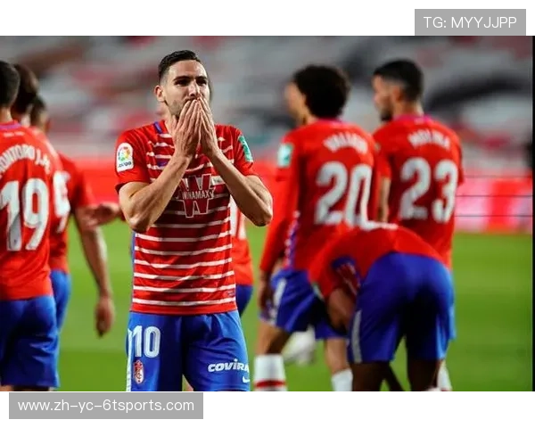 西甲联赛全球粉丝数量与地域分布 西甲联赛全球粉丝数量与地域分布