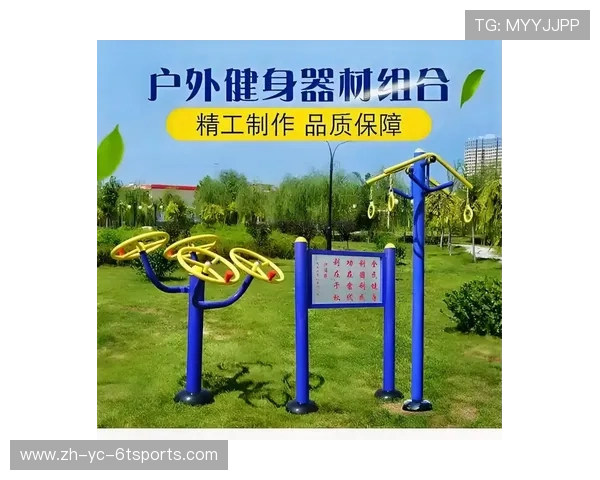 高性价比健身器材排行大牌器械年终促销专场 高性价比健身器材排行大牌器械年终促销专场